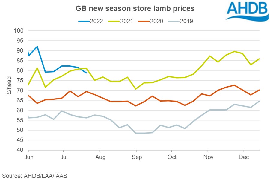 graph showing store lamb prices year on year comparisons